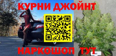 гашик Кунгур