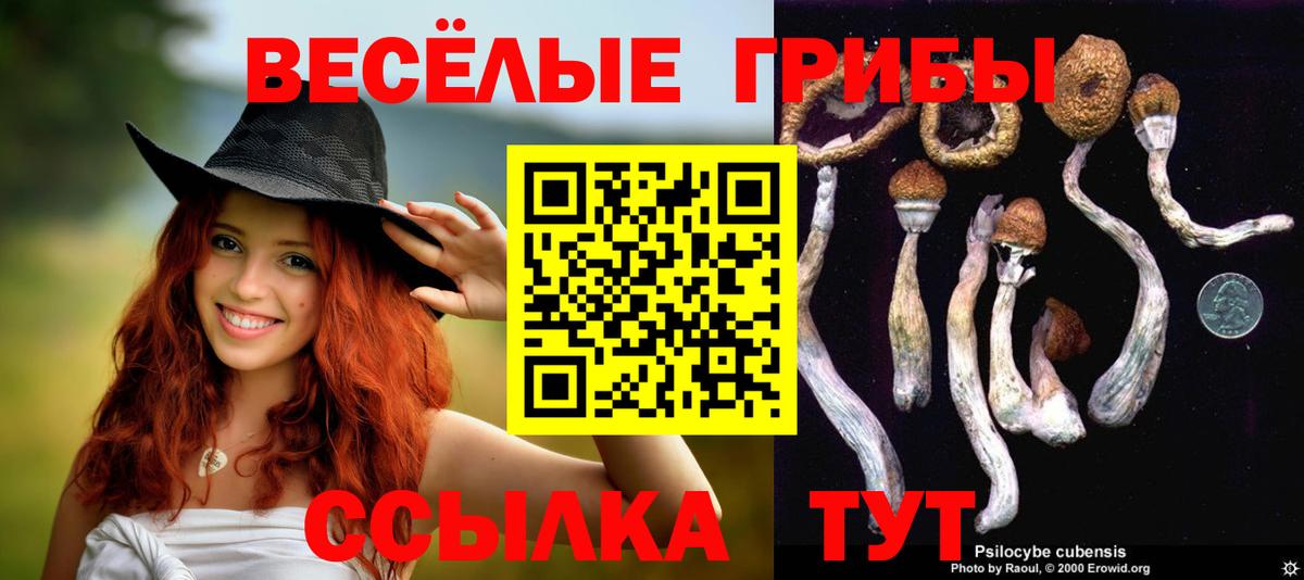 Псилоцибиновые грибы мицелий  Галлюциногенные грибы Psilocybe  Дербент  Вход с VPN 